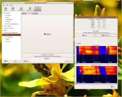 Screenshot of pronunciation analysis